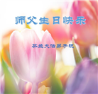 63国和地区大法弟子恭祝师尊华诞