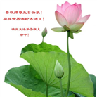 澳大利亚、新西兰大法弟子恭贺世界法轮大法日暨师尊华诞