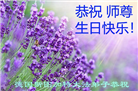 63国和地区大法弟子恭祝师尊华诞