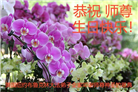 纽约地区大法弟子恭贺世界法轮大法日暨师尊华诞