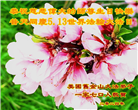 美西地区大法弟子恭贺世界法轮大法日暨师尊华诞