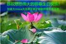 加拿大各地大法弟子恭贺世界法轮大法日暨师尊华诞