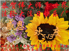 各行业大法弟子恭贺世界法轮大法日暨师尊华诞(27条)