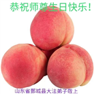 山东大法弟子恭贺世界法轮大法日暨师尊华诞(18条)