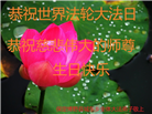 保定大法弟子恭贺世界法轮大法日暨师尊华诞(18条)