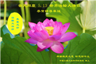 大陆大法弟子恭贺世界法轮大法日暨师尊华诞(176条)