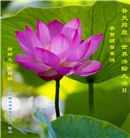 大陆大法弟子恭贺世界法轮大法日暨师尊华诞(176条)