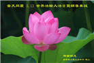 美国各地大法弟子恭贺世界法轮大法日暨师尊华诞
