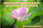 北京大法弟子恭贺世界法轮大法日暨师尊华诞(21条)