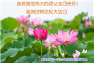 重庆大法弟子恭贺世界法轮大法日暨师尊华诞(23条)