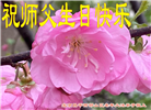 北京大法弟子恭贺世界法轮大法日暨师尊华诞(19条)