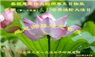 保定大法弟子恭贺世界法轮大法日暨师尊华诞(19条)