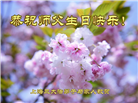 上海大法弟子恭贺世界法轮大法日暨师尊华诞(18条)