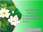 潍坊大法弟子恭贺世界法轮大法日暨师尊华诞(23条)