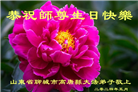 山东大法弟子恭贺世界法轮大法日暨师尊华诞(18条)
