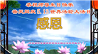 乡村大法弟子恭贺世界法轮大法日暨师尊华诞(27条)