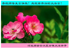廊坊大法弟子恭贺世界法轮大法日暨师尊华诞(21条)