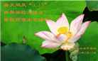 乡村大法弟子恭贺世界法轮大法日暨师尊华诞(21条)