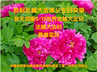 吉林省大法弟子恭贺世界法轮大法日暨师尊华诞(19条)