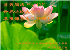 山东大法弟子恭贺世界法轮大法日暨师尊华诞(19条)