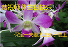 保定大法弟子恭贺世界法轮大法日暨师尊华诞(20条)
