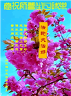 潍坊大法弟子恭贺世界法轮大法日暨师尊华诞(19条)