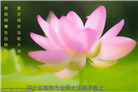 河北大法弟子恭贺世界法轮大法日暨师尊华诞(21条)