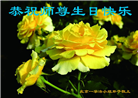 北京大法弟子恭贺世界法轮大法日暨师尊华诞(20条)