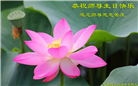 吉林市大法弟子恭贺世界法轮大法日暨师尊华诞(18条)