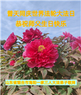 乡村大法弟子恭贺世界法轮大法日暨师尊华诞(19条)