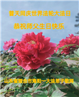 乡村大法弟子恭贺世界法轮大法日暨师尊华诞(19条)