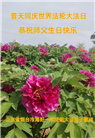 乡村大法弟子恭贺世界法轮大法日暨师尊华诞(19条)