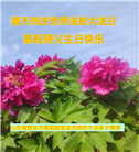乡村大法弟子恭贺世界法轮大法日暨师尊华诞(19条)
