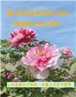 乡村大法弟子恭贺世界法轮大法日暨师尊华诞(19条)