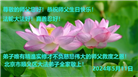 北京大法弟子恭贺世界法轮大法日暨师尊华诞(20条)