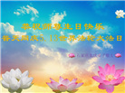 石家庄大法弟子恭贺世界法轮大法日暨师尊华诞(20条)