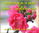 保定大法弟子恭贺世界法轮大法日暨师尊华诞(19条)