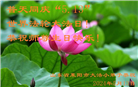 大法小弟子恭贺世界法轮大法日暨师尊华诞(20条)