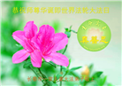长春大法弟子恭贺世界法轮大法日暨师尊华诞(22条)