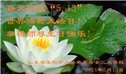 山东大法弟子恭贺世界法轮大法日暨师尊华诞(18条)