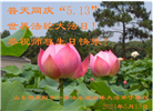 山东大法弟子恭贺世界法轮大法日暨师尊华诞(18条)
