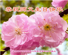北京大法弟子恭贺世界法轮大法日暨师尊华诞(18条)