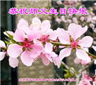 北京大法弟子恭贺世界法轮大法日暨师尊华诞(18条)