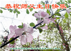 北京大法弟子恭贺世界法轮大法日暨师尊华诞(18条)