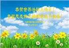 沈阳大法弟子恭贺世界法轮大法日暨师尊华诞(26条)