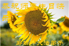 廊坊大法弟子恭贺世界法轮大法日暨师尊华诞(20条)