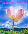 河南大法弟子恭贺世界法轮大法日暨师尊华诞(19条)