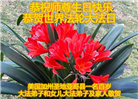 美西地区大法弟子恭贺世界法轮大法日暨师尊华诞