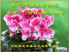 保定大法弟子恭贺世界法轮大法日暨师尊华诞(18条)