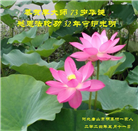 明真相世人恭贺世界法轮大法日暨师尊华诞(21条)